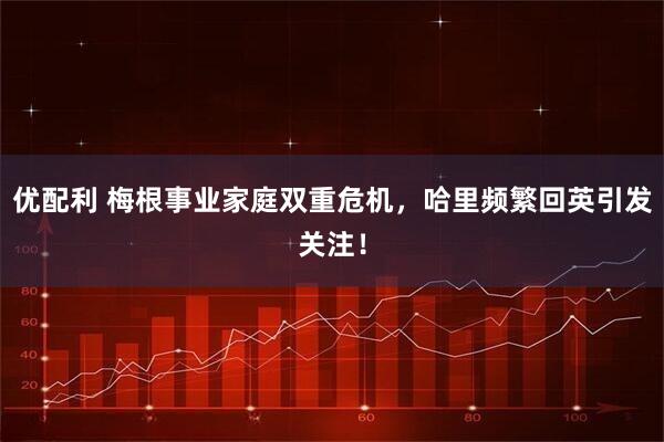 优配利 梅根事业家庭双重危机，哈里频繁回英引发关注！