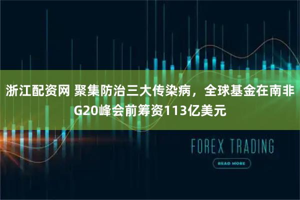 浙江配资网 聚集防治三大传染病，全球基金在南非G20峰会前筹资113亿美元