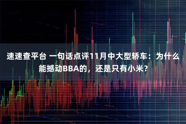 速速查平台 一句话点评11月中大型轿车：为什么能撼动BBA的，还是只有小米？