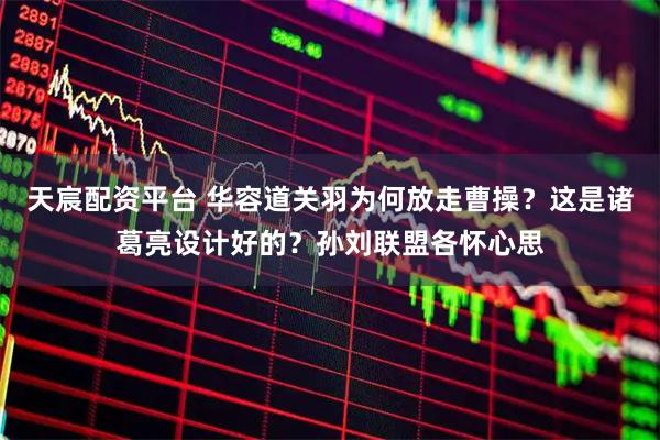 天宸配资平台 华容道关羽为何放走曹操?这是诸葛亮设计好的?孙刘联盟各怀心思